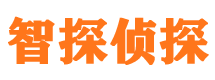 宿豫市私家侦探